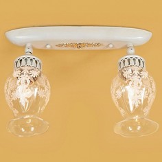 Спот Метафора CL413122 Citilux