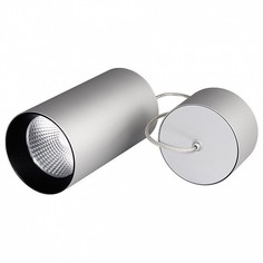 Подвесной светильник Sp-polo-r85 SP-POLO-R85-2-15W Day White 40deg (Silver, Black Ring) Arlight