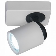 Спот Норман 2 CL533510 Citilux