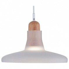 Подвесной светильник Ola P017PL-01W Maytoni