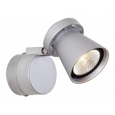 Спот Дубль-1 CL556511 Citilux