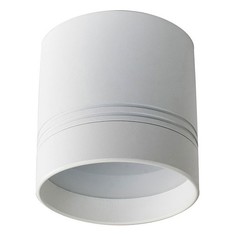 Накладной светильник DL18483 DL18483/WW-White R Donolux