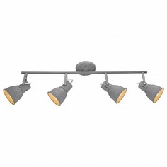 Спот 1677 A1677PL-4GY Arte Lamp