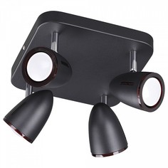 Спот Reanna 3824/4C Odeon Light