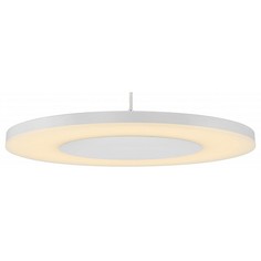 Подвесной светильник Discobolo 4490 Mantra