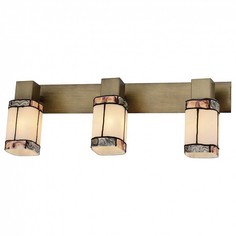 Спот Sylvia TL3770Y-03AB Top Light