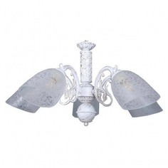 Подвесная люстра Palaia OML-64803-05 Omnilux