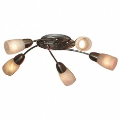 Потолочная люстра Cevedale GRLSQ-6907-05 Lussole