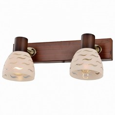 Спот Shayla TL3730Y-02BB Top Light