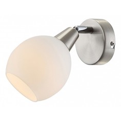 Спот Elliott 54351-1 Globo