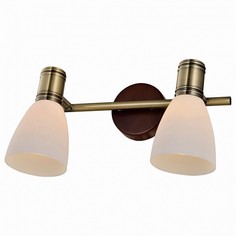 Спот Sharyl TL3720Y-02BB Top Light