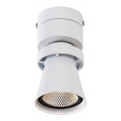 Спот Дубль-1 CL556510 Citilux