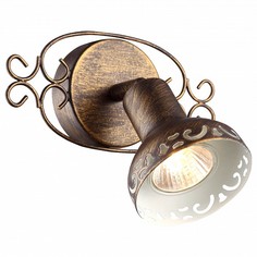 Спот Focus A5219AP-1BR Arte Lamp