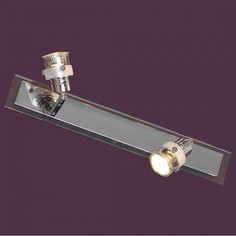 Спот Perspicuo LSL-5291-02 Lussole