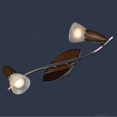 Спот Cisterino LSQ-6401-02 Lussole