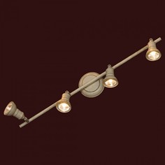 Спот Sobretta LSL-2509-04 Lussole