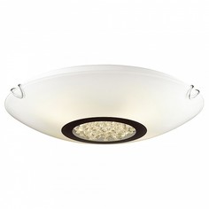 Накладной светильник Funken 1694-2C Favourite