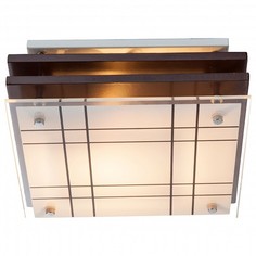 Накладной светильник Kadavu 48089 Globo