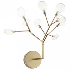 Бра Riccardo SL411.201.09 St Luce