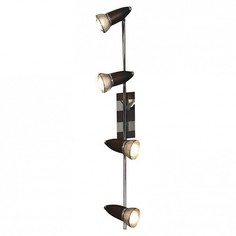 Спот Furnari LSL-8009-04 Lussole
