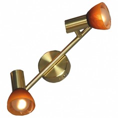 Спот Leggero LSQ-4191-02 Lussole