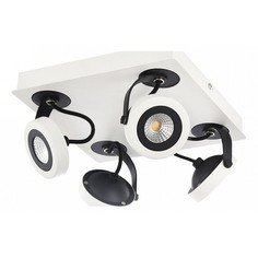 Спот Magnetar 1 SP161-CW-04-W Maytoni