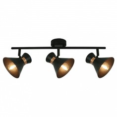 Спот Baltimore A1406PL-3BK Arte Lamp