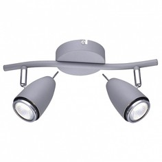 Спот Regista A1966AP-2GY Arte Lamp