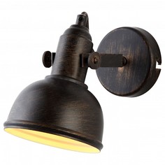 Спот Martin A5213AP-1BR Arte Lamp