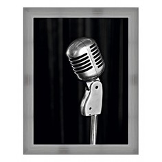 Картина (37х47 см) Микрофон BE-103-111 Ekoramka