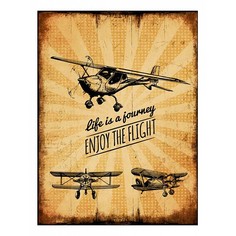 Картина (50х70 см) Enjoy the flight HE-101-442 Ekoramka