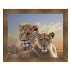 Картина (59х49 см) Лев и львица BE-103-128 Ekoramka