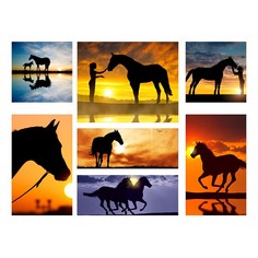 Набор из 7 картин (110х80 см) Тени лошадей HE-110-109 Ekoramka