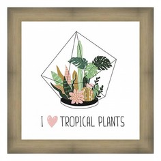 Картина (38х38 см) Tropical plants BE-103-137 Ekoramka