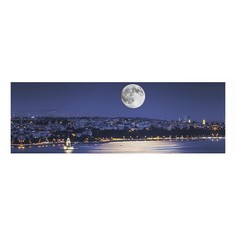 Картина (90х30 см) Ночной Стамбул SE-102-312 Ekoramka