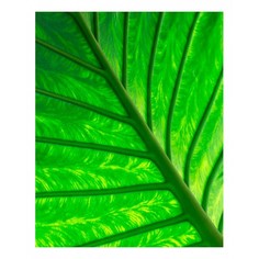 Картина (40х50 см) Зеленый лист HE-101-591 Ekoramka