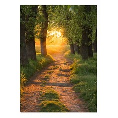 Картина (50х70 см) Лес солнце HE-101-651 Ekoramka