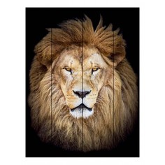 Картина (80х120 см) Лев DE-104-576 Ekoramka