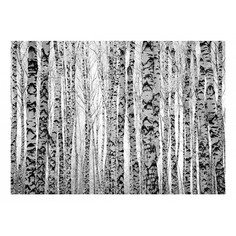 Картина (70х50 см) Березовая роща HE-101-844 Ekoramka