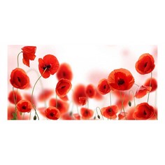 Картина (120х60 см) Цветки мака HE-102-158 Ekoramka