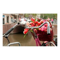 Картина (50х30 см) Руль велосипеда HE-101-726 Ekoramka