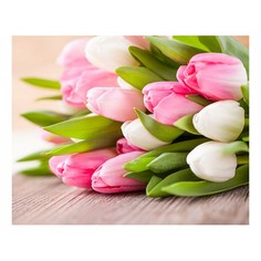 Картина (50х40 см) Тюльпаны на столе HE-101-522 Ekoramka