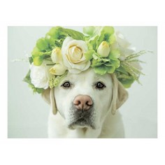 Картина (40х30 см) Лабрадор SE-102-204 Ekoramka