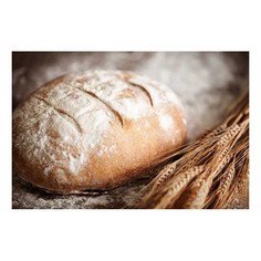Картина (60х40 см) Хлеб и колос HE-101-822 Ekoramka