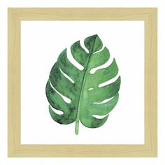 Картина (37х37 см) Лист монстеры BE-103-117 Ekoramka