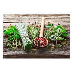 Картина (60х40 см) Зелень HE-101-814 Ekoramka