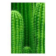 Картина (40х60 см) Зеленые кактусы HE-101-600 Ekoramka