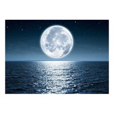 Картина (70х50 см) Луна море HE-101-860 Ekoramka