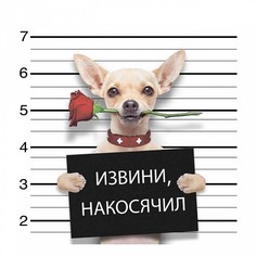 Картина (30х30 см) Извини накосячил SE-102-280 Ekoramka