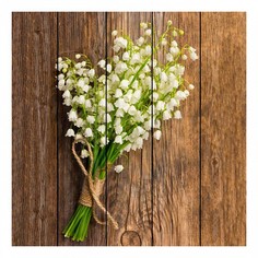 Картина (60х60 см) Ландыши DE-104-129 Ekoramka